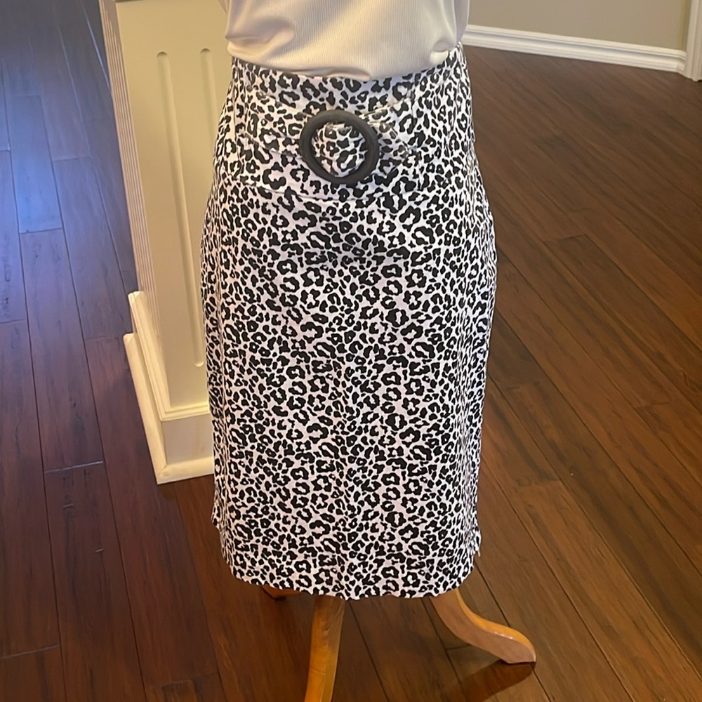 Charlotte Russe skirt.  Size Large